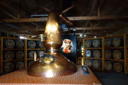 ニッカ余市蒸溜所