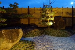 たつの市のイタリアンレストランiris