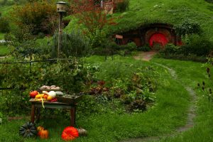 ホビトンツアー