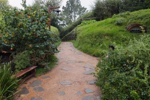 ホビトンツアー