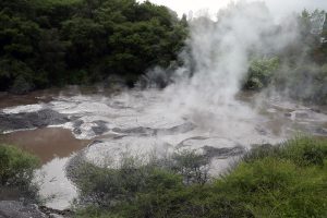 テ・プイアの地熱地帯