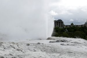 テ・プイアの間欠泉ポフツガイザー