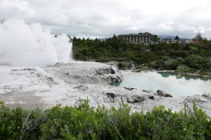 テ・プイアの間欠泉ポフツガイザー