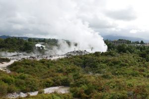 テ・プイアの地熱地帯