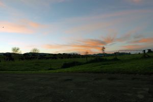 ニュージーランドの夕焼け