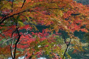 布引貯水池の紅葉