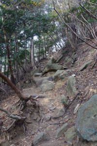摩耶山へのハイキング道