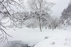 冬の銀山温泉