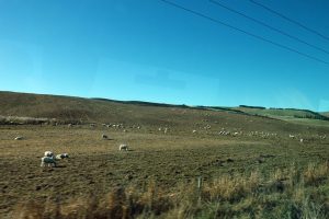 テカポへ向かうバスの車窓から