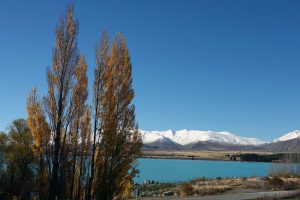 ニュージーランド・テカポ湖