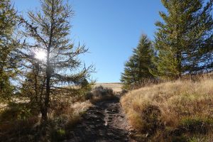 マウントジョンへのハイキングコース