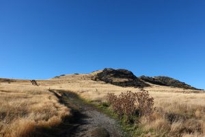 マウントジョンへのハイキングコース