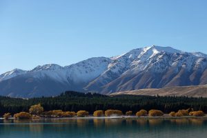 ニュージーランド・テカポ湖