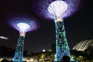 ガーデンズ・バイ・ザ・ベイ