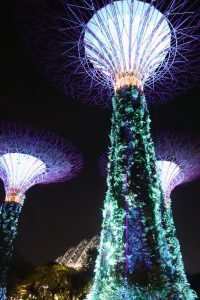 ガーデンズ・バイ・ザ・ベイ