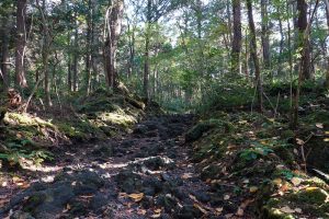 青木ヶ原樹海自然歩道